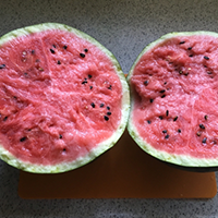 スイカを食べてベビフルーツの準備